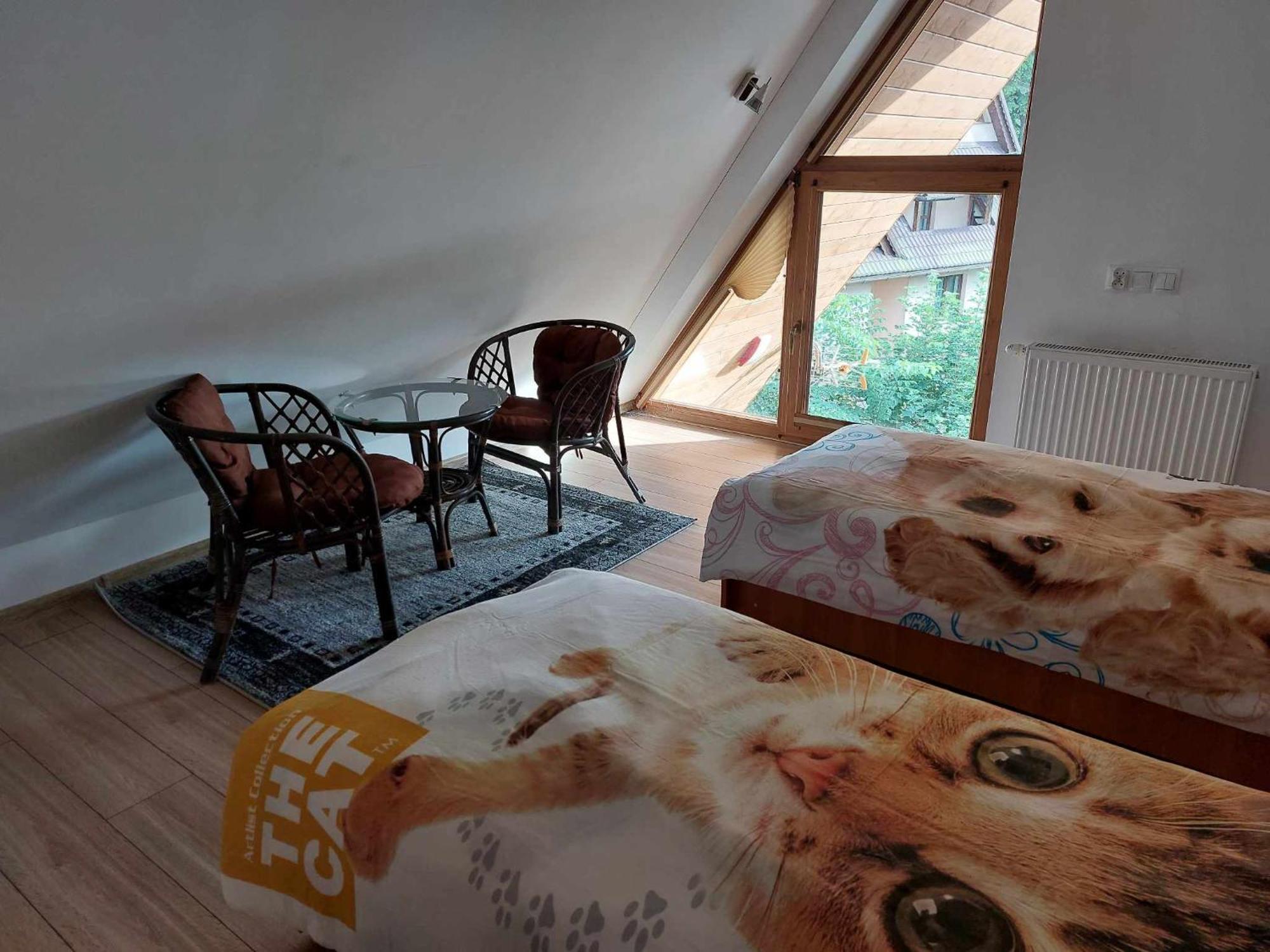 Apartamenty Cede Zakopane Ngoại thất bức ảnh